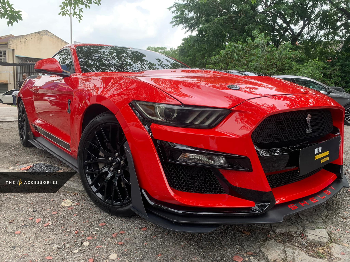 Mustang GT500 Full Conversion Kit
