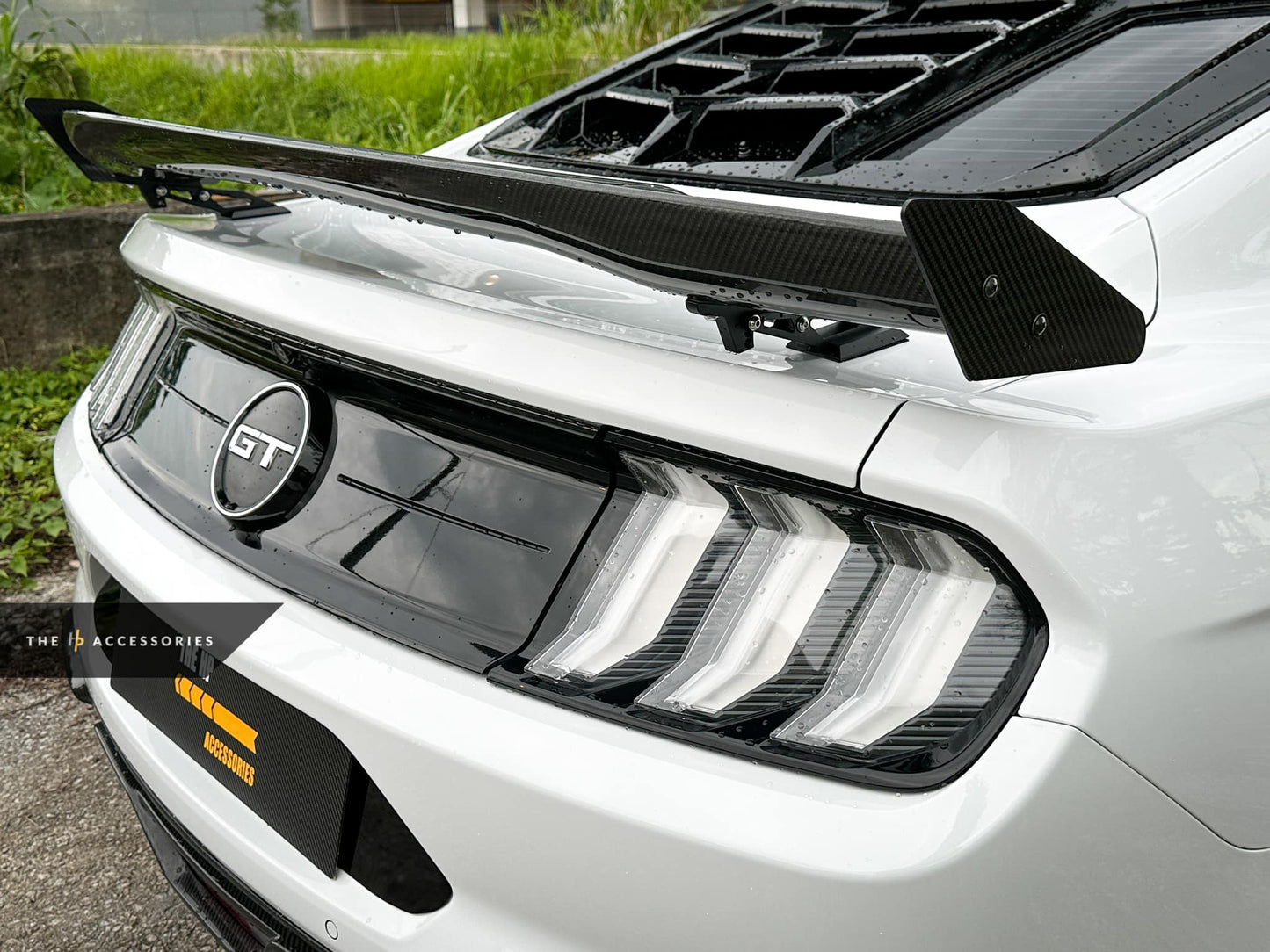 Ford Mustang Full Carbon Add On Kit & Interior Upgrade