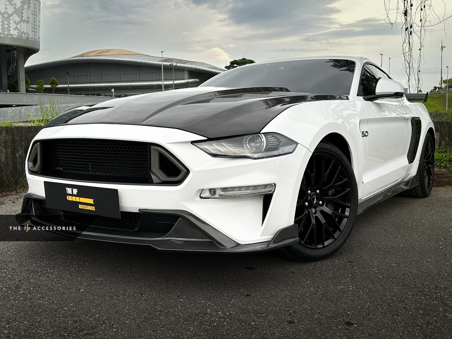 Ford Mustang Full Carbon Add On Kit & Interior Upgrade